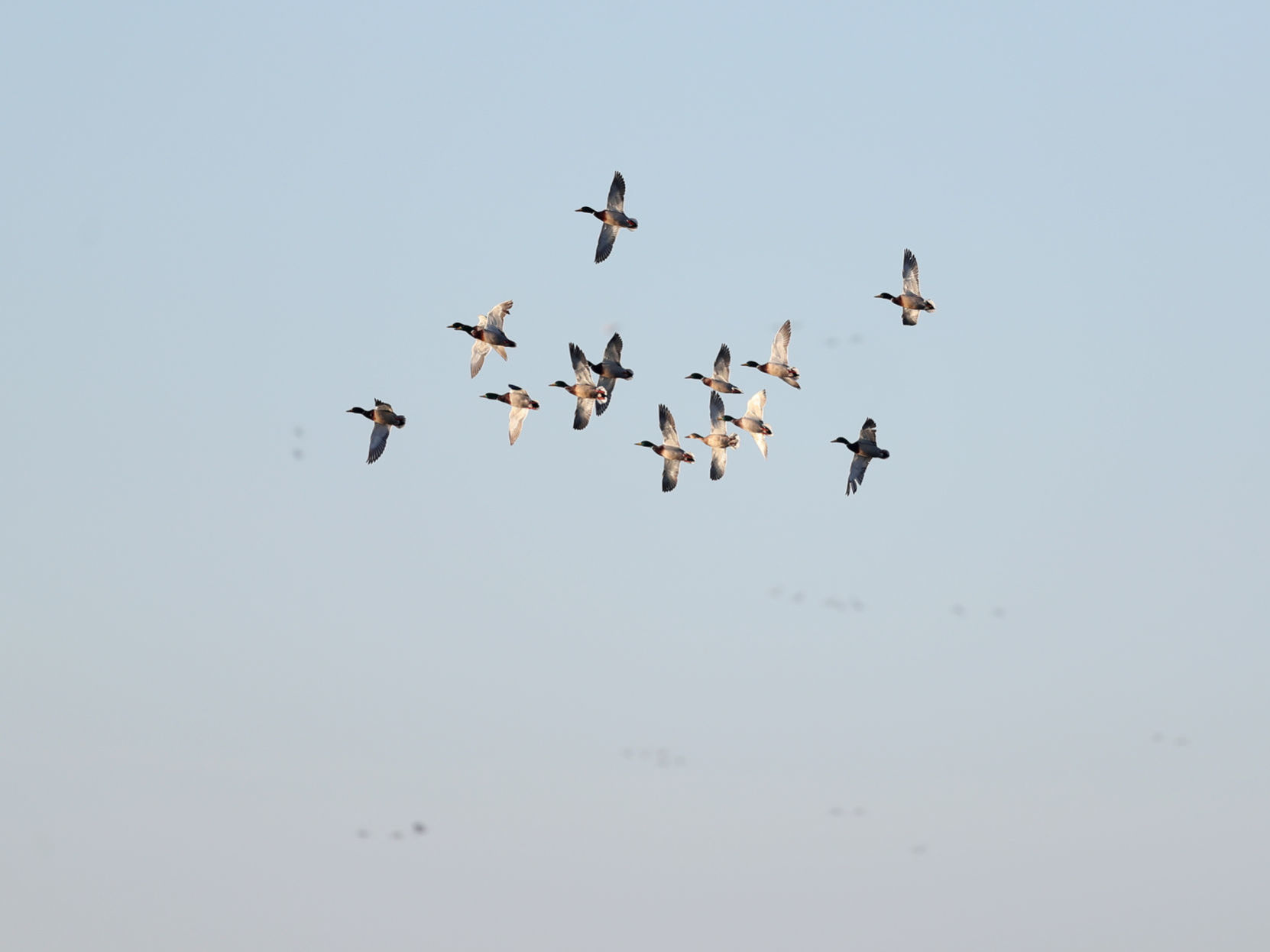 031020bp-wild-art-big-marsh-03
